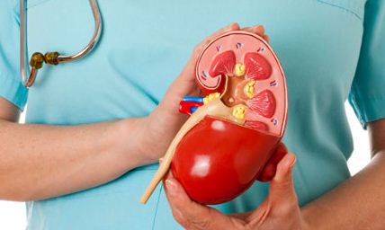5 Makanan Ini Baik untuk Kesehatan Liver