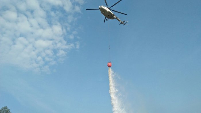 BNPB Kirim 2 Helikopter Atasi Kebakaran Lahan di Riau