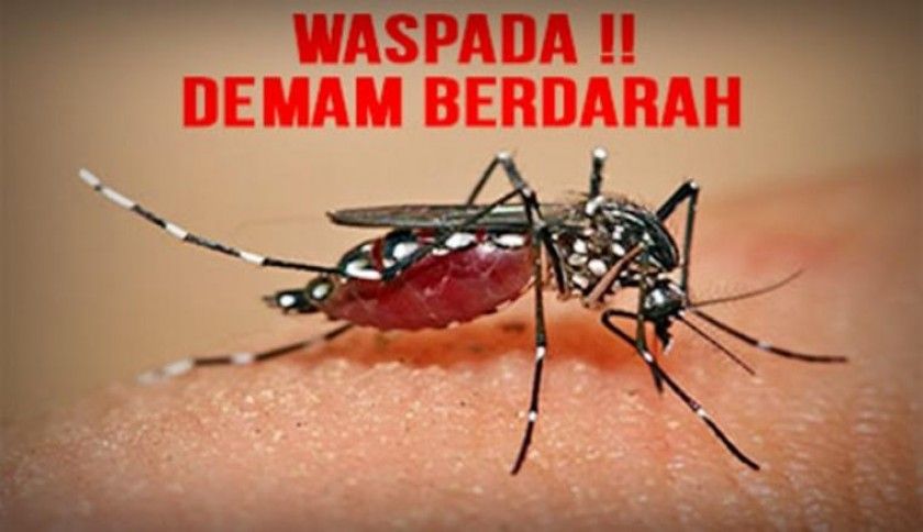 Angka DBD di Kota Pekanbaru Mencapai 474 Kasus 