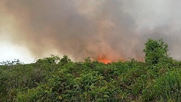 657 Hektare Lahan di Riau Terbakar Sepanjang 2021