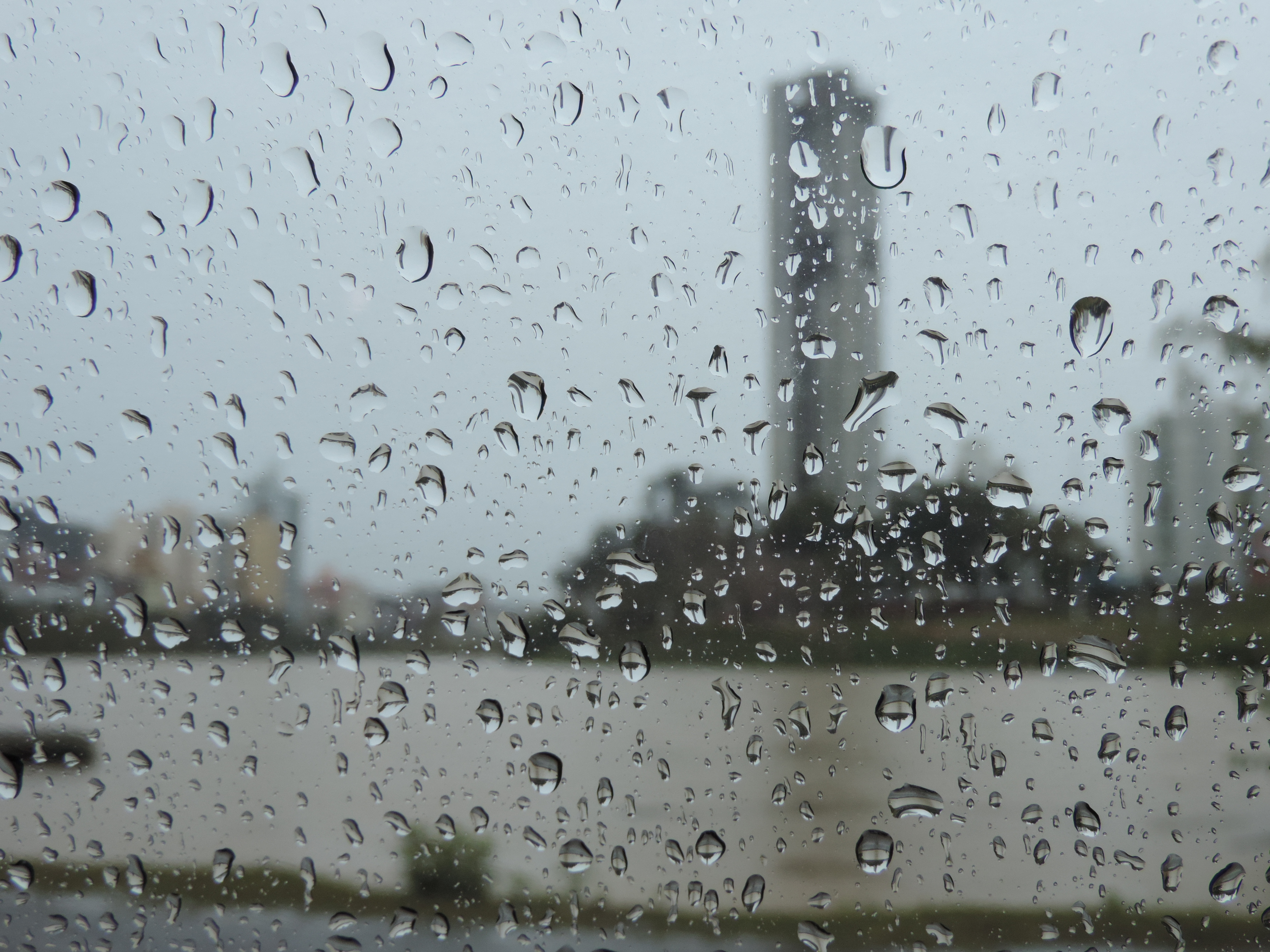 BMKG Sebut Hujan Lebat Akan Terjadi di Wilayah Indonesia, Termasuk Riau