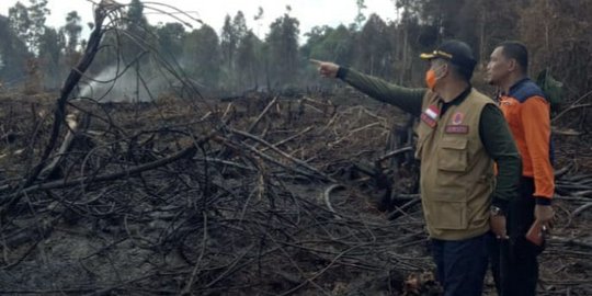 Terima Panjar Rp 352 Juta, Pelaku Karhutla Bukit Suligi Mengaku Bakar Lahan Untuk Dijual