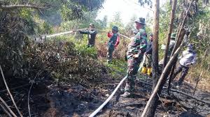 Kapolda Riau ajak masyarakat Dumai jaga hutan