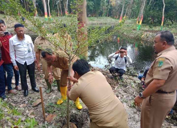 Hutan Kota dibangun di Bagansiapiapi