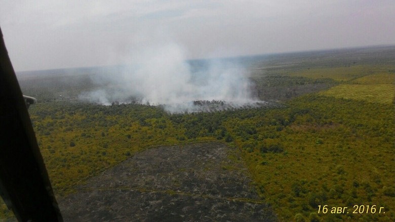 DPRD Riau Akan Proses Hukum PT Padasa yang Rambah 3500 Hektare Kawasan Hutan Lindung