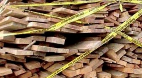 Ditemukan  Kayu Diduga Hasil Ilog di Meranti 