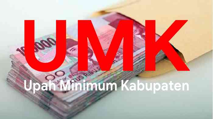 7 Kabupaten Kota di Riau Naikkan UMK 2021, Ini Rinciannya
