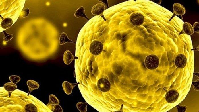 Puncak Virus Corona di Indonesia Belum Bisa Diperkirakan