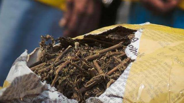 Ganja Siap Pakai seberat 29 Kilogram Berhasil Diamankan Polisi di Siak