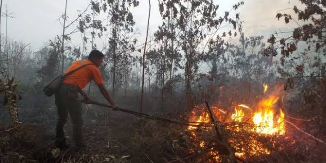 Riau Masuki Musim Kemarau, Pemda Diminta Waspadai Karhutla 
