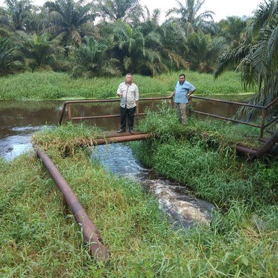 Anak Rimba Indonesia Laporkan PT CPI ke Polda Riau, Ini Kasusnya