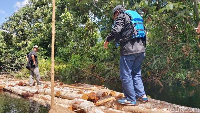 Polres Dumai Tangkap Empat Orang Pelaku Ilegal Logging