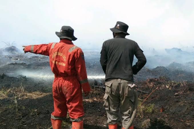 Petugas Mengaku Kesulitan Padamkan Kebakaran Hutan di Rohil