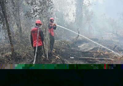 Tahun Ini, Anggota PWI Riau Ikut Berqurban Sapi dan kambing