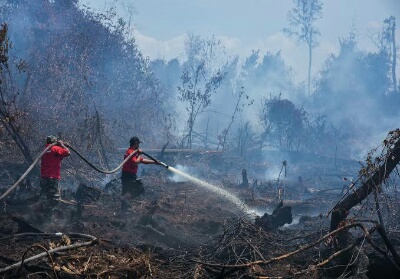 Bawaslu Simpulkan Kasus C1 di Menteng Bukan Dugaan Pelanggaran Pemilu