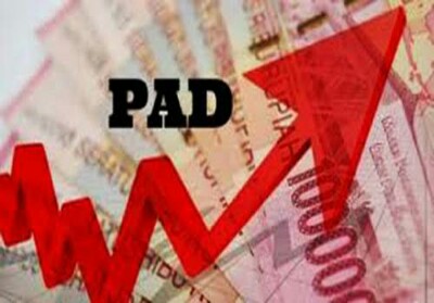 Hingga Juli 2019, Realisasi PAD Pekanbaru Capai Rp 312 Miliar