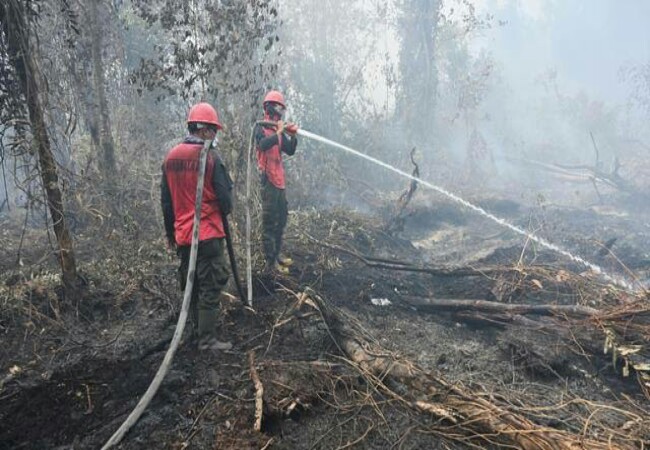 Lahan Seluas 1.577 H Diduga Sengaja Dibakar, Polda Riau Tetapkan 68 Tersangka, 2 dari Korporasi