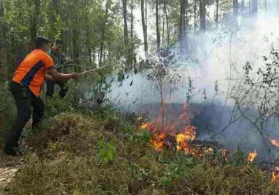 Penetapan Status Siaga Karhutla di Riau, Pemprov Minta Bantuan ke BNPB