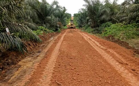 Dukungan Pemda Penting Bagi Industri Sawit