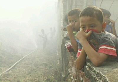 2.488 Masyarakat Riau Terkena ISPA Akibat Karhutla
