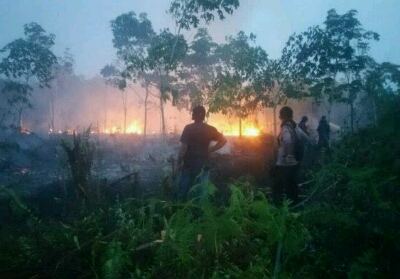 Pastikan Karhutla di Rupat Tak Ada Unsur Kesengajaan, Kapolda Perintahkan Reskrimsus Turun