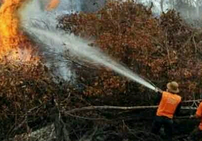 Karhutla Terjadi di Riau, KLHK Sebut Ada Faktor Kesengajaan