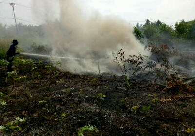 Asap Tipis Mulai Menyelimuti Kota Pekanbaru