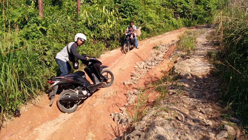 Dipertanyakan, Jokowi Klaim Pembangunan Jalan Desa Capai 191 Ribu Km