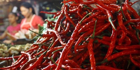 Jelang Lebaran Permintaan Cabai Merah di Pekanbaru Masih Normal 