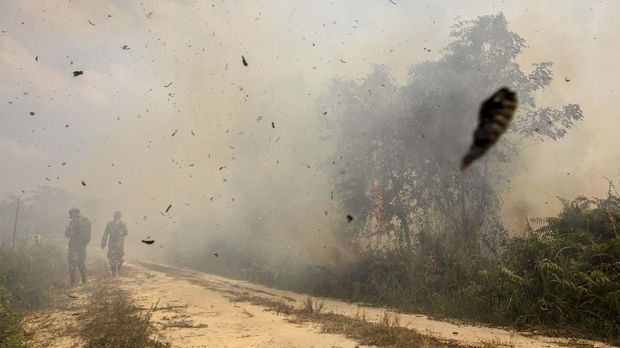 Jokowi Malu Ingin ke Malaysia dan Singapura karena Kabut Asap