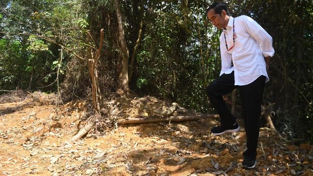Lokasi Ibu Kota Baru Diputuskan Tahun Ini