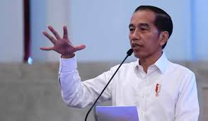 Jokowi Angkat 7 Milenial jadi Stafsus
