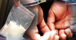 Ringkus Pengedar Narkoba di Desa Sawah, Polres Kampar Sita 7,38 Gram Ganja