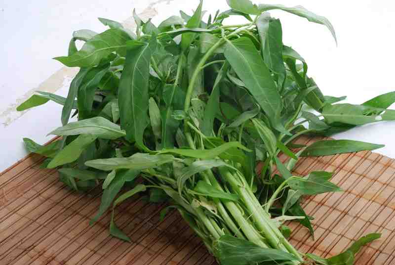 Makan Kangkung Bisa Buat Ngantuk, Apa Benar?