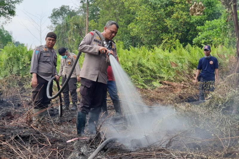Tim terpadu turun langsung padamkan api Karhutla di Dusun Sentosa