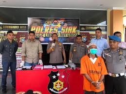 Pembakar lahan tanaman nenas dibekuk Polres Siak