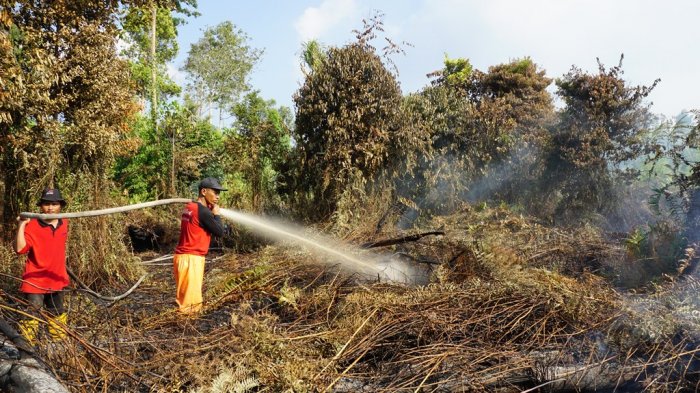 Sempat Nihil, Kini Hotspot Riau Muncul di Siak