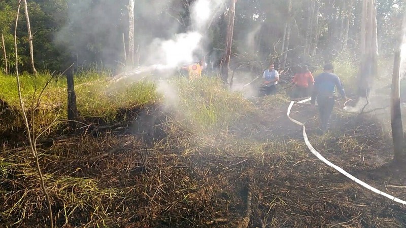 Pemda Diminta Segera Bentuk Satgas Antisipasi Karhutla di Riau 