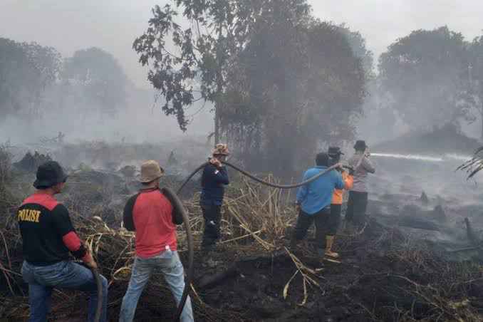 Karhutla Kembali Terjadi di Rangsang Kepulauan Meranti