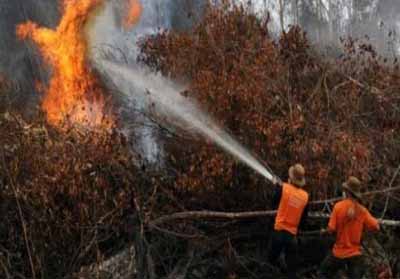 Mulai Berkurang, Hotspot di Riau Pagi Ini Terpantau 54 Titik