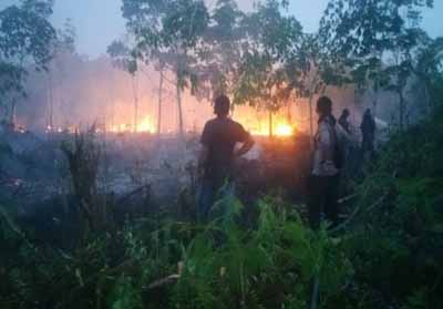 Masalah Karhutla, DPRD Riau: Hukum bagi Pelaku Jangan Tebang Pilih