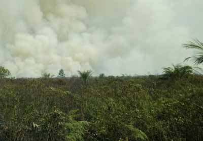 86 Hotspot Terpantau di Riau, Tim Satgas Upayakan Hujan Buatan