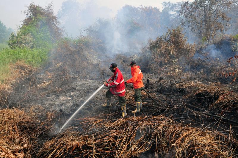 3 Kawasan di Pekanbaru ini Rawan Karhutla, Masyarakat Dihimbau Tetap Waspada