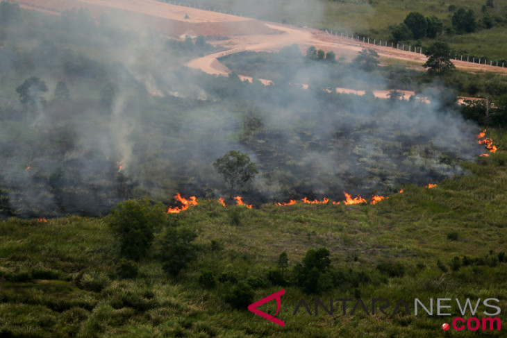 21 Hektar Lahan Hangus Terbakar di Desa Pangkalan Gondai Langgam