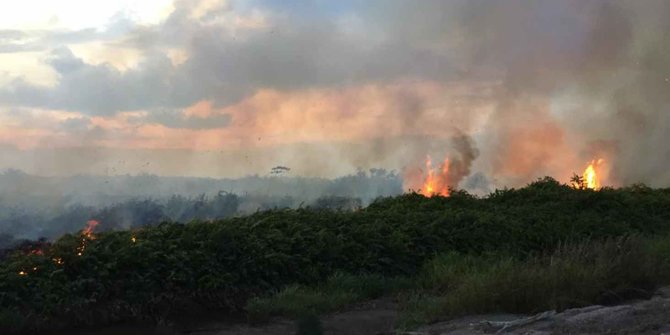 Karhutla di Riau, 342 Hektare Lahan Terbakar di Dumai 