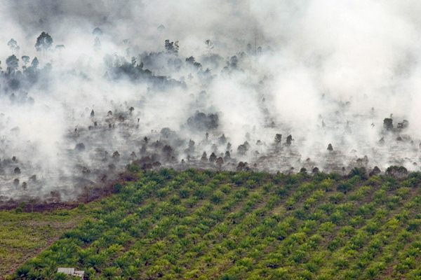 BMKG: Hari Ini Meningkat, Ada 35 Titik Panas di Riau