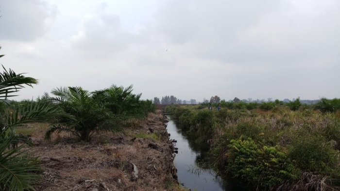 Karhutla di Tanjung Putus Pangkalan Kerinci Akhirnya Padam