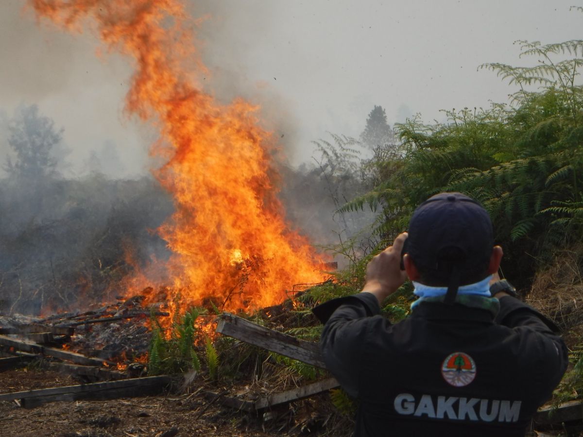Kebakaran Hutan 2 Hektar, Polisi Berhasil Tangkap Petani di Kalimantan Barat