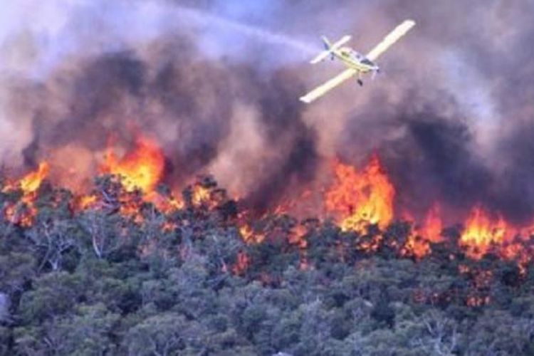 32 Hotspot Terpantau di Riau