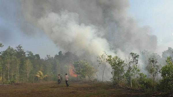 Karhutla di Rohul Meluas, Petugas Harapkan Bantuan Water Bombing